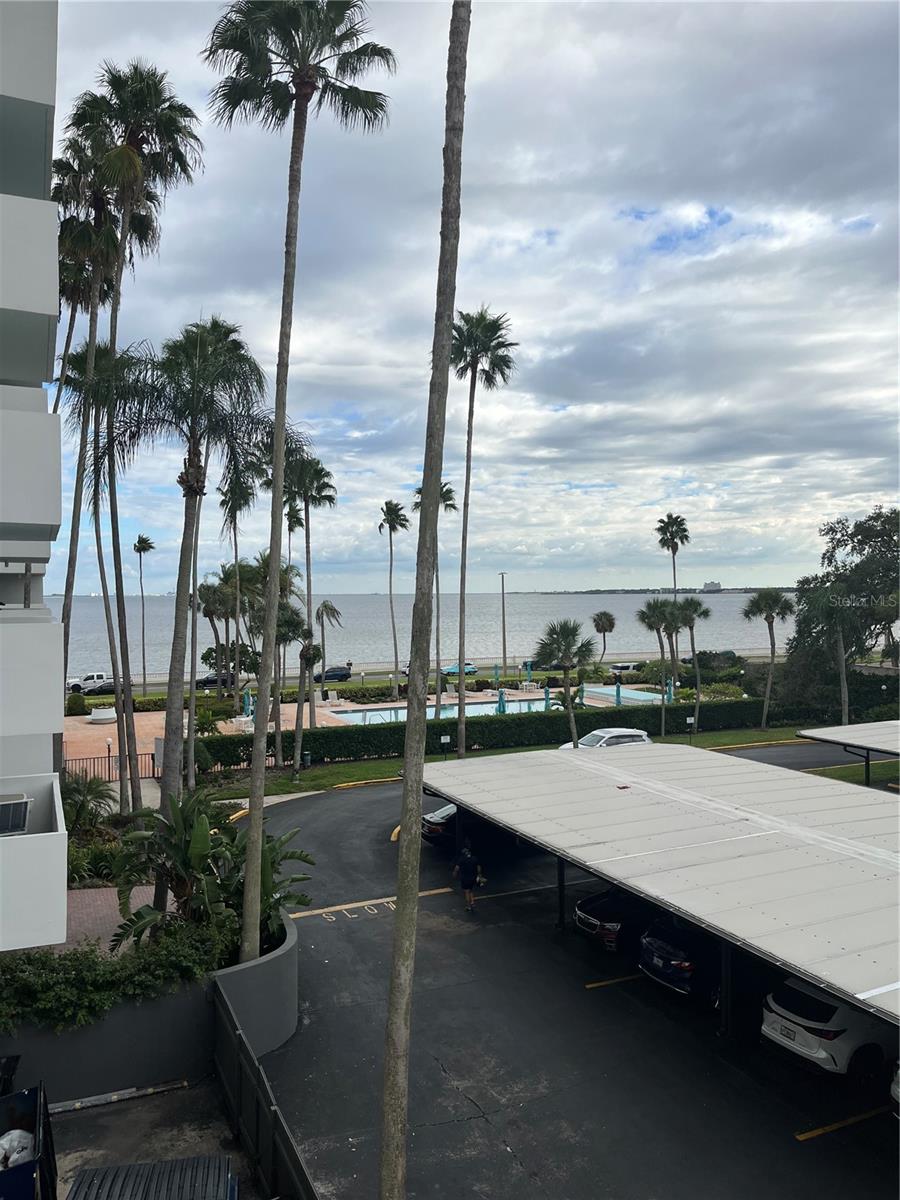 Image 21 of 29 For 2401 Bayshore Boulevard 302