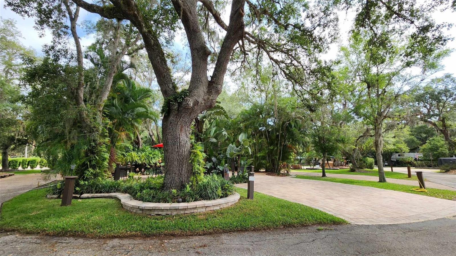 Image 13 of 14 For 373 Bear Trail