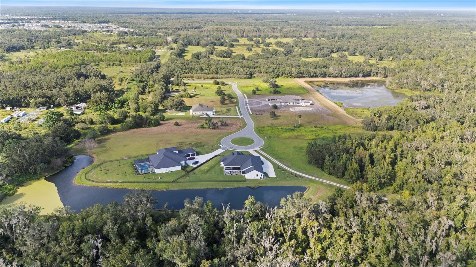 Image 12 of 14 For 15323 Fishhawk Heights Run