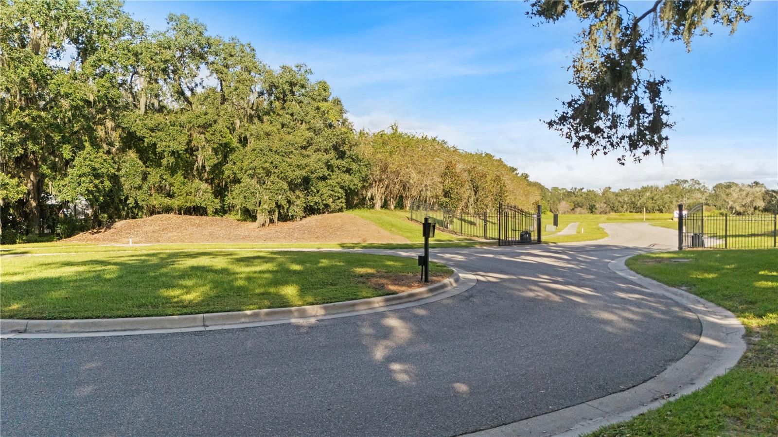 Image 14 of 14 For 15323 Fishhawk Heights Run