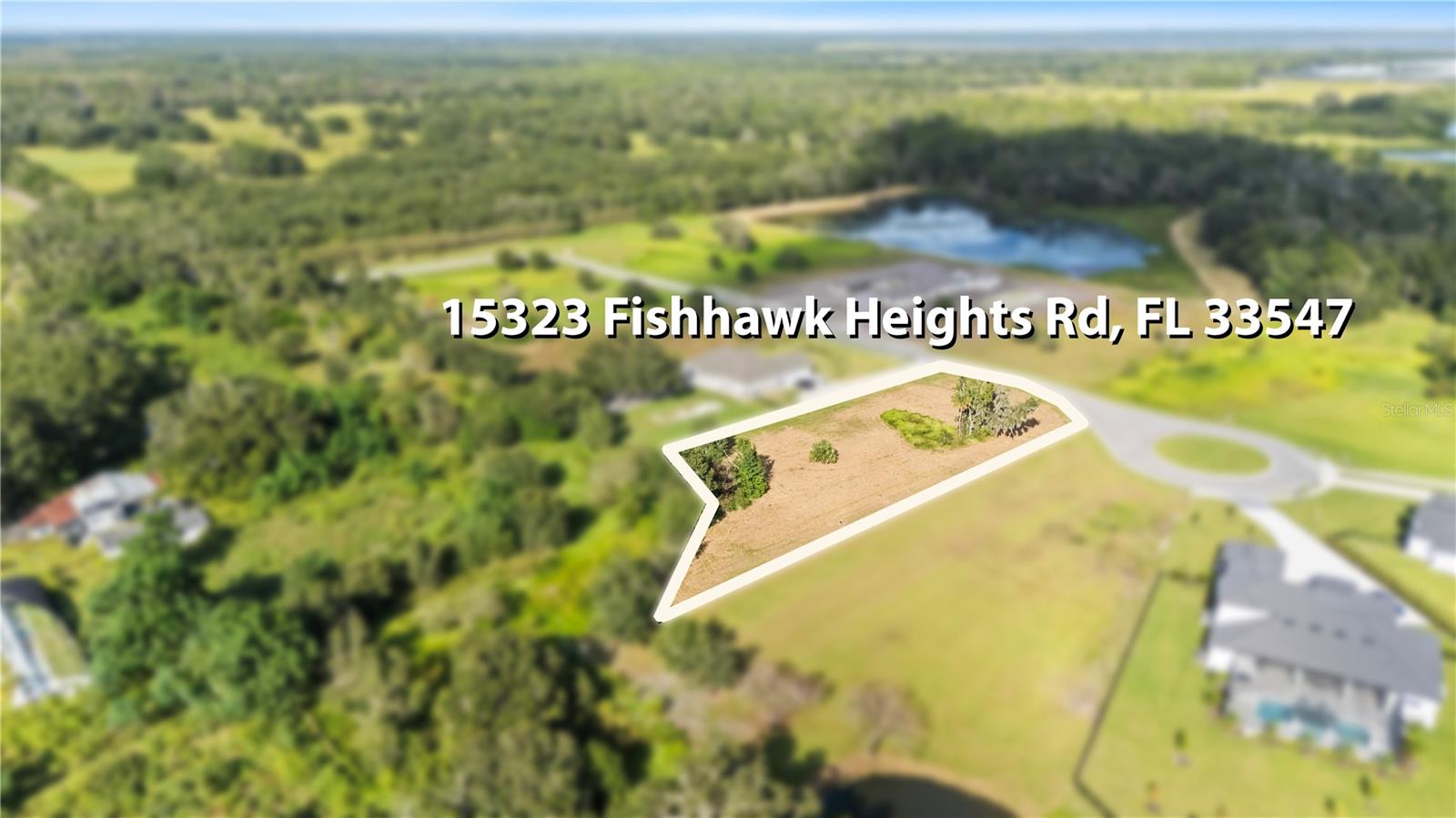 Image 5 of 14 For 15323 Fishhawk Heights Run