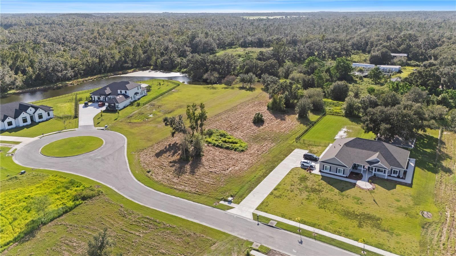 Image 8 of 14 For 15323 Fishhawk Heights Run