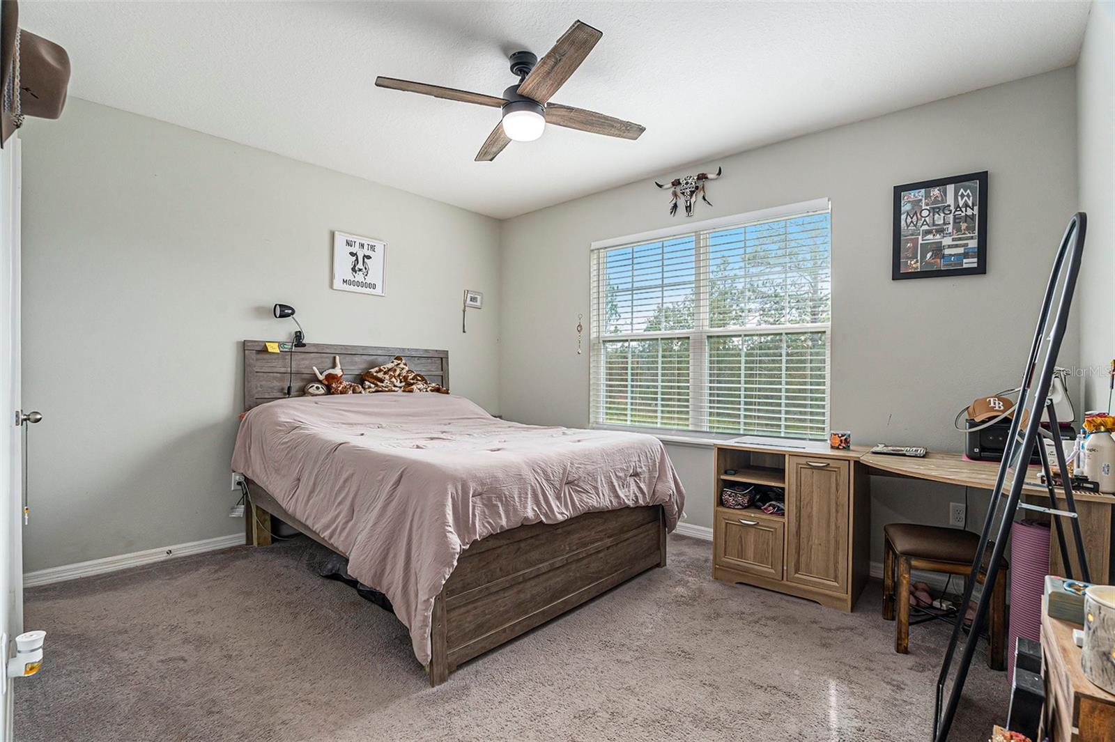 Image 19 of 30 For 12211 Snowy Egret Avenue