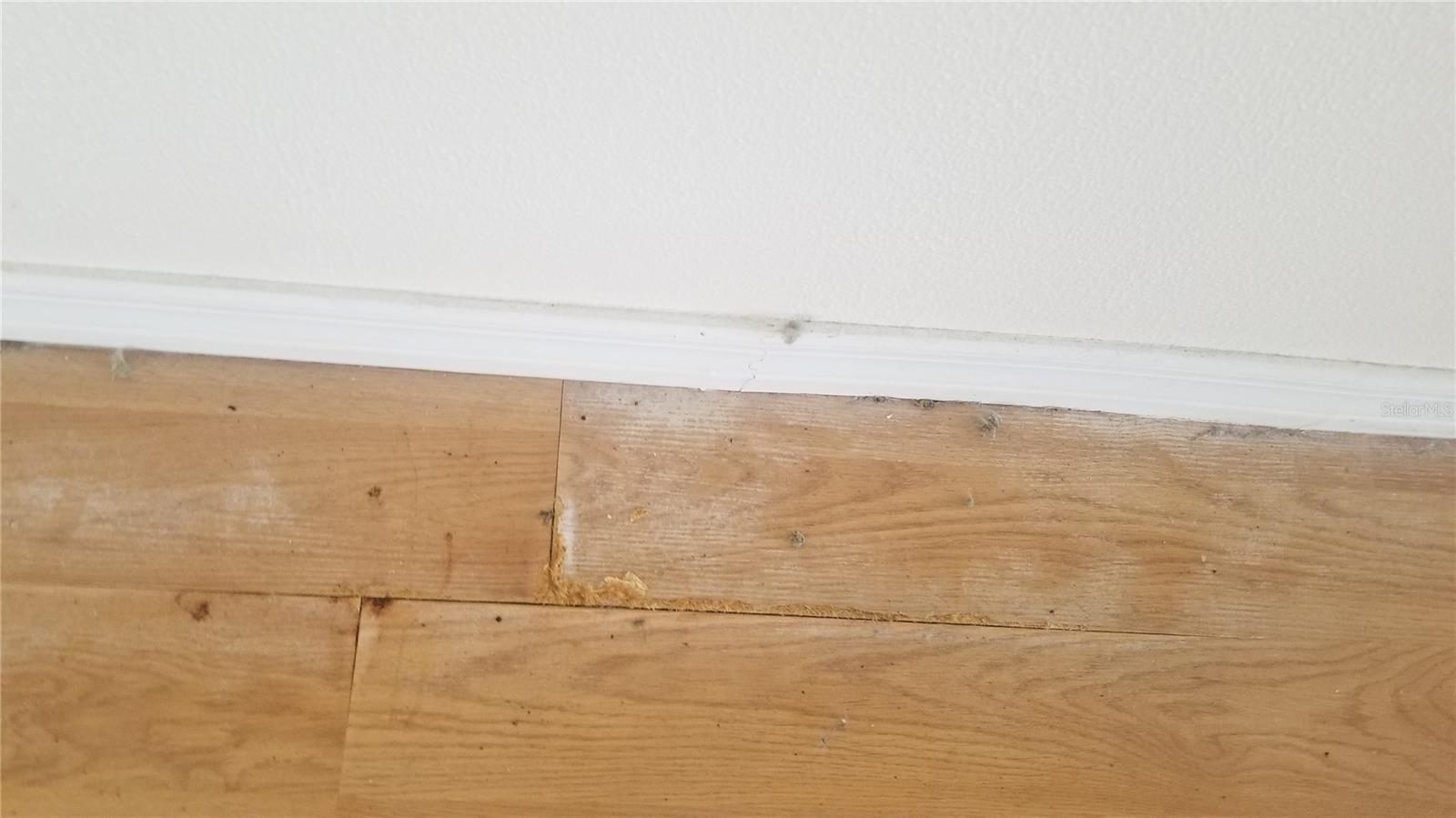 Image 23 of 25 For 4026 Star Island Drive