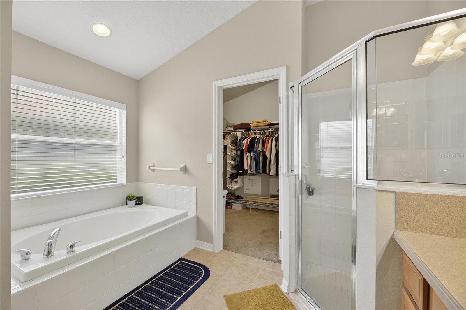 Image 22 of 36 For 424 Down Pine Drive