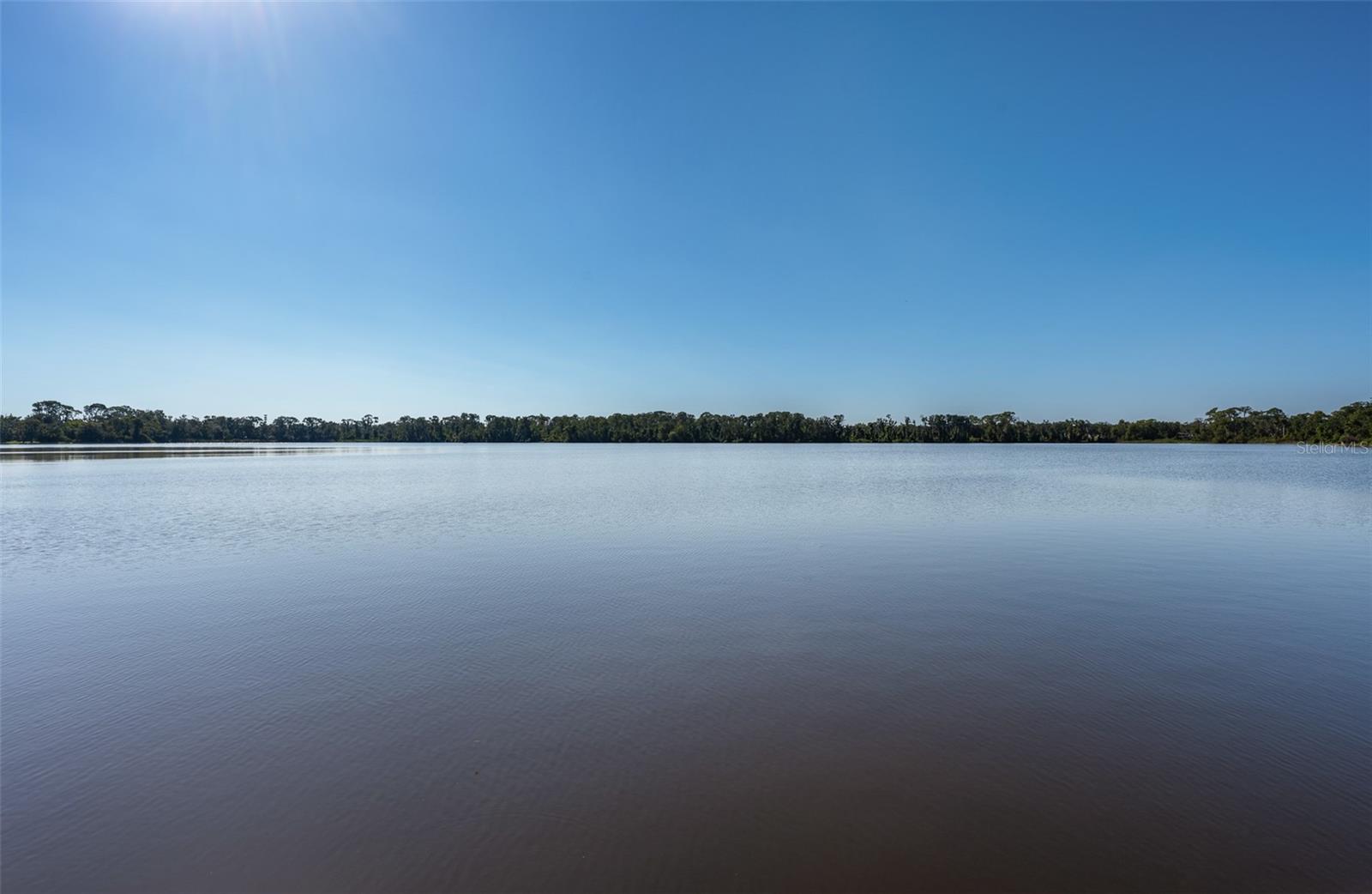 Image 49 of 50 For 4214 Kipling Avenue