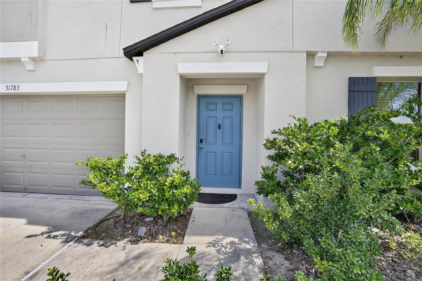 Image 66 of 80 For 31783 Sun Kettle Loop