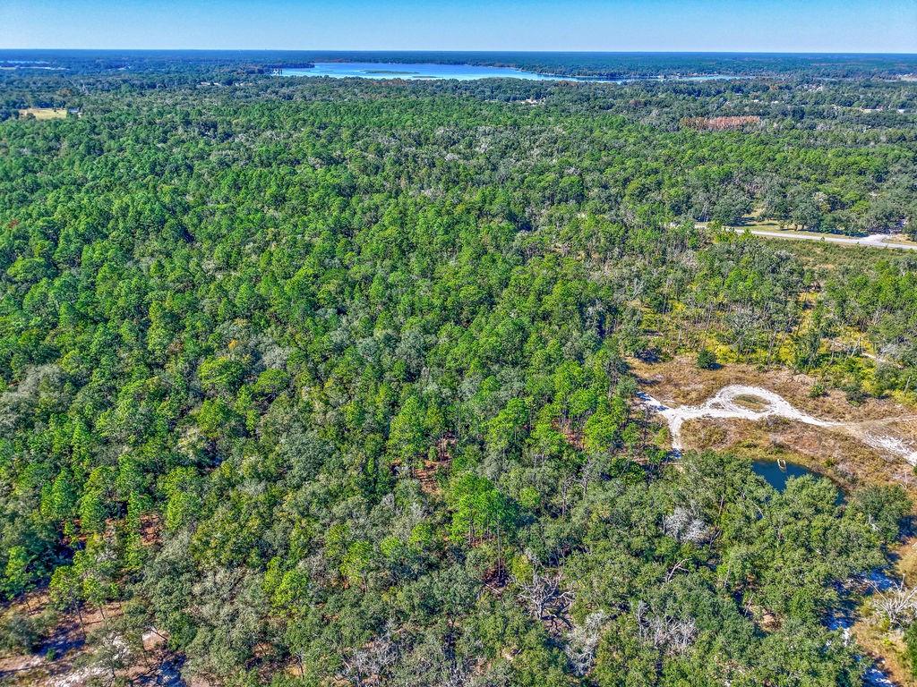 Image 11 of 22 For 7157 Contentment Lane