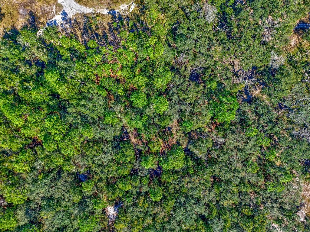 Image 15 of 22 For 7157 Contentment Lane