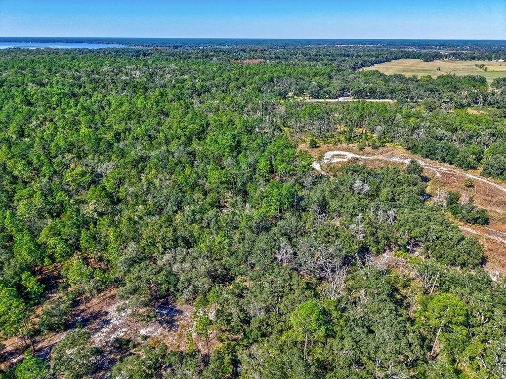 Image 17 of 22 For 7157 Contentment Lane