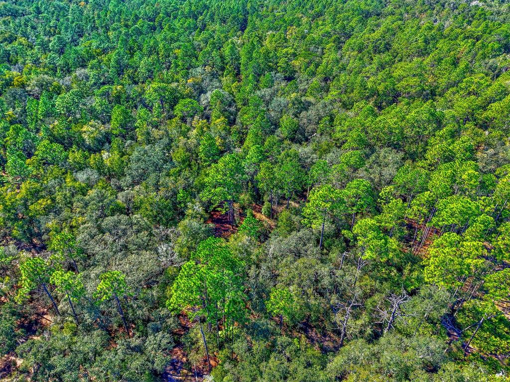 Image 18 of 22 For 7157 Contentment Lane