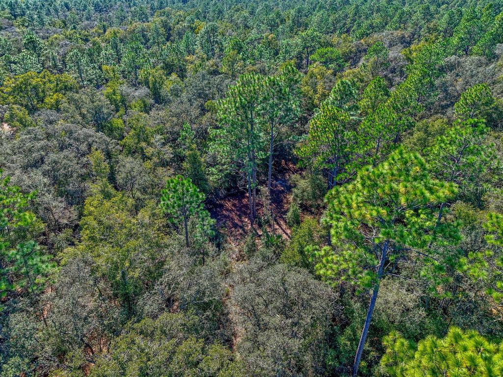 Image 22 of 22 For 7157 Contentment Lane