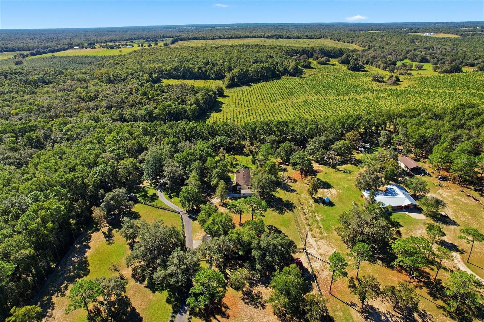 Image 40 of 46 For 8730 Haines Court