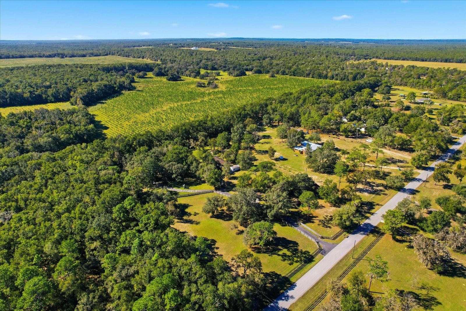 Image 44 of 46 For 8730 Haines Court