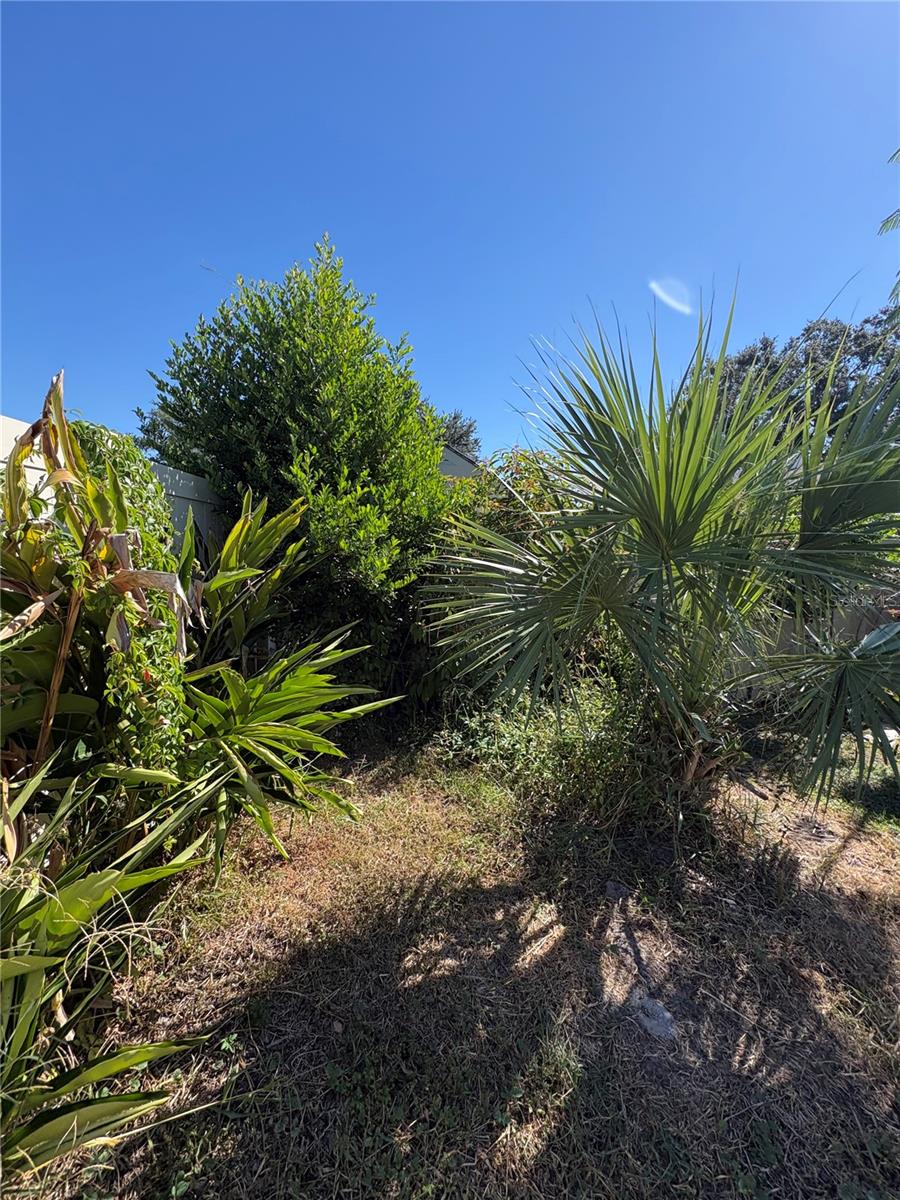 Image 32 of 63 For 7712 Willow Park Drive