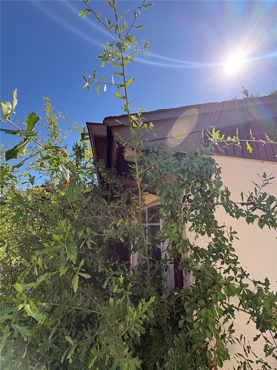 Image 50 of 63 For 7712 Willow Park Drive