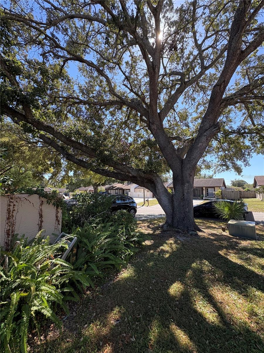 Image 53 of 63 For 7712 Willow Park Drive