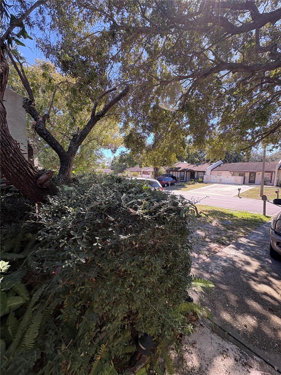 Image 58 of 63 For 7712 Willow Park Drive