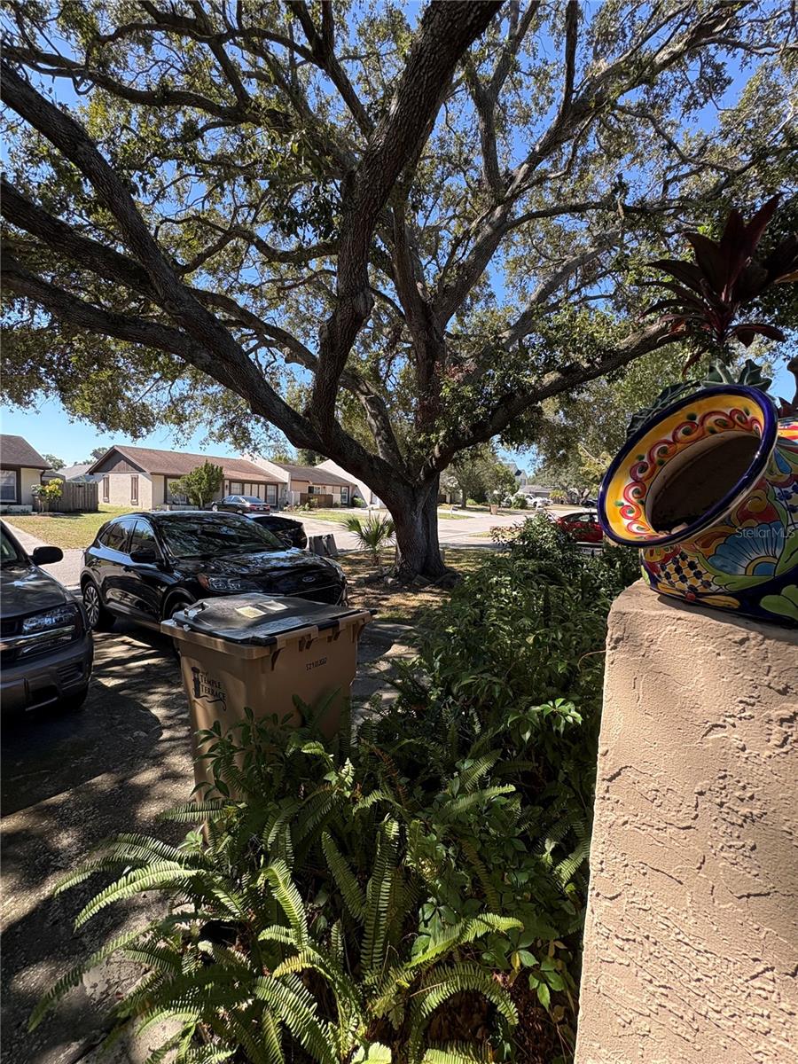 Image 60 of 63 For 7712 Willow Park Drive