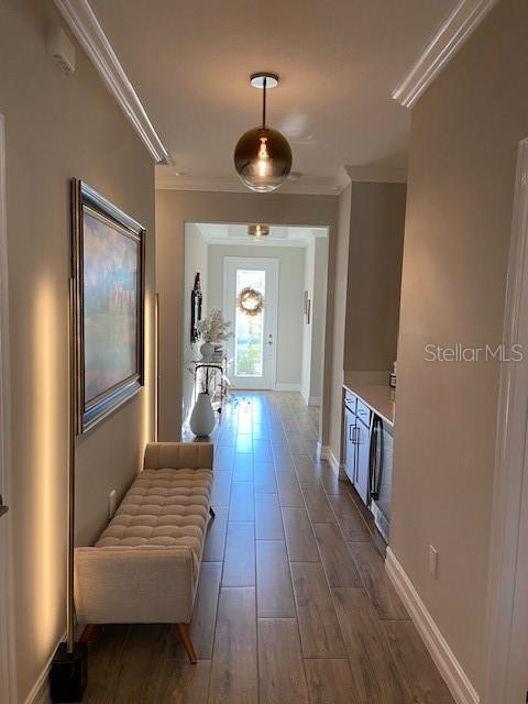 Image 15 of 53 For 21548 Violet Periwinkle Drive