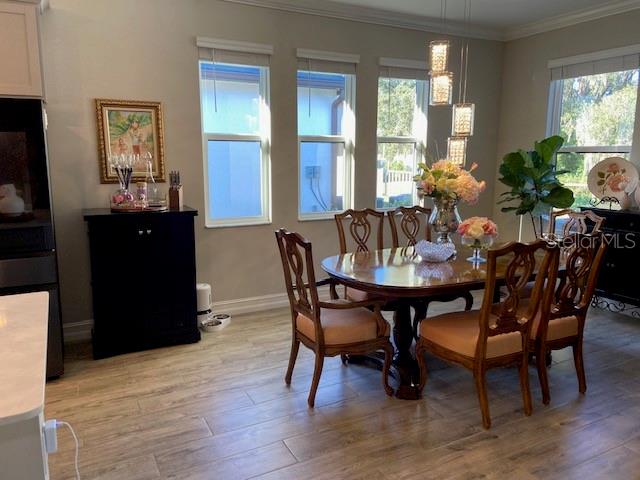 Image 31 of 53 For 21548 Violet Periwinkle Drive