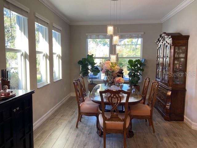 Image 32 of 53 For 21548 Violet Periwinkle Drive