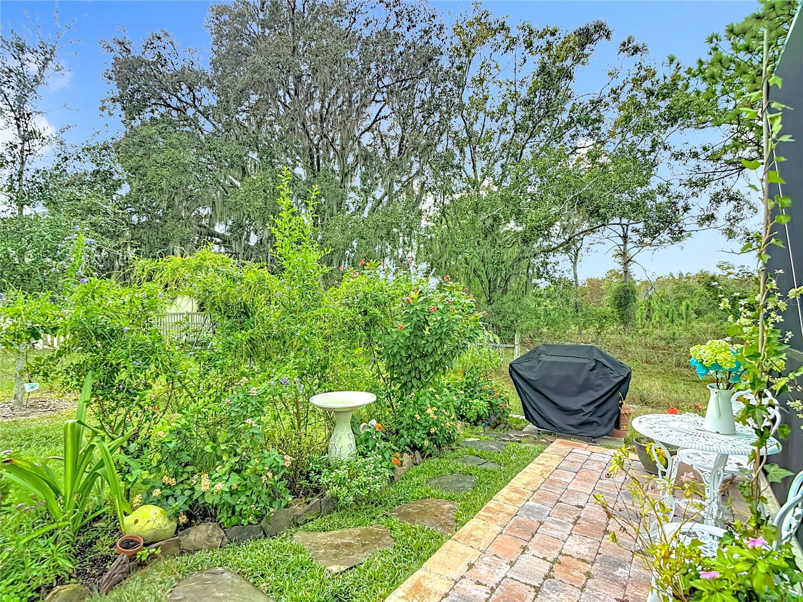 Image 75 of 86 For 21548 Violet Periwinkle Drive