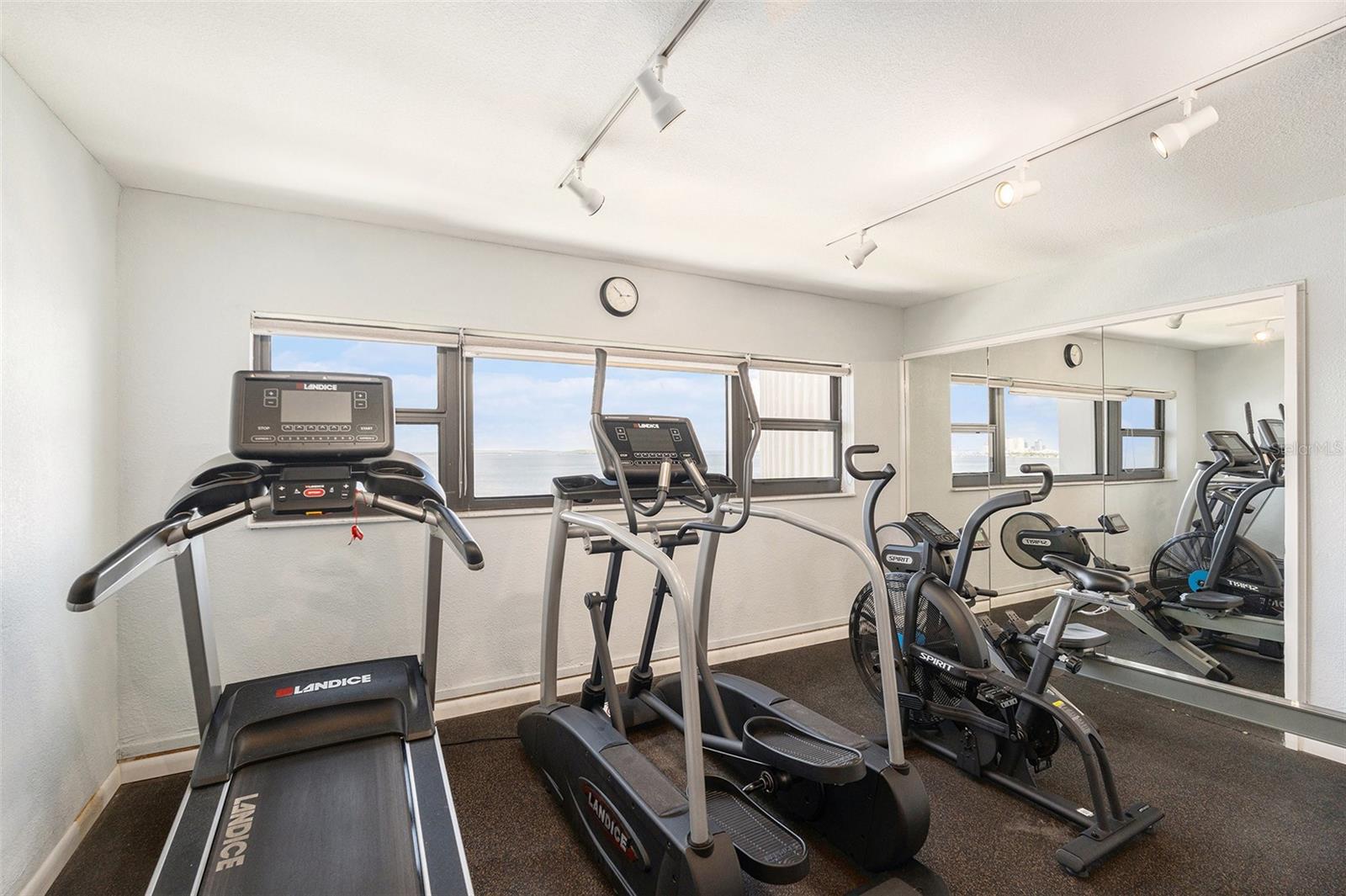 Image 7 of 26 For 4141 Bayshore Boulevard 704