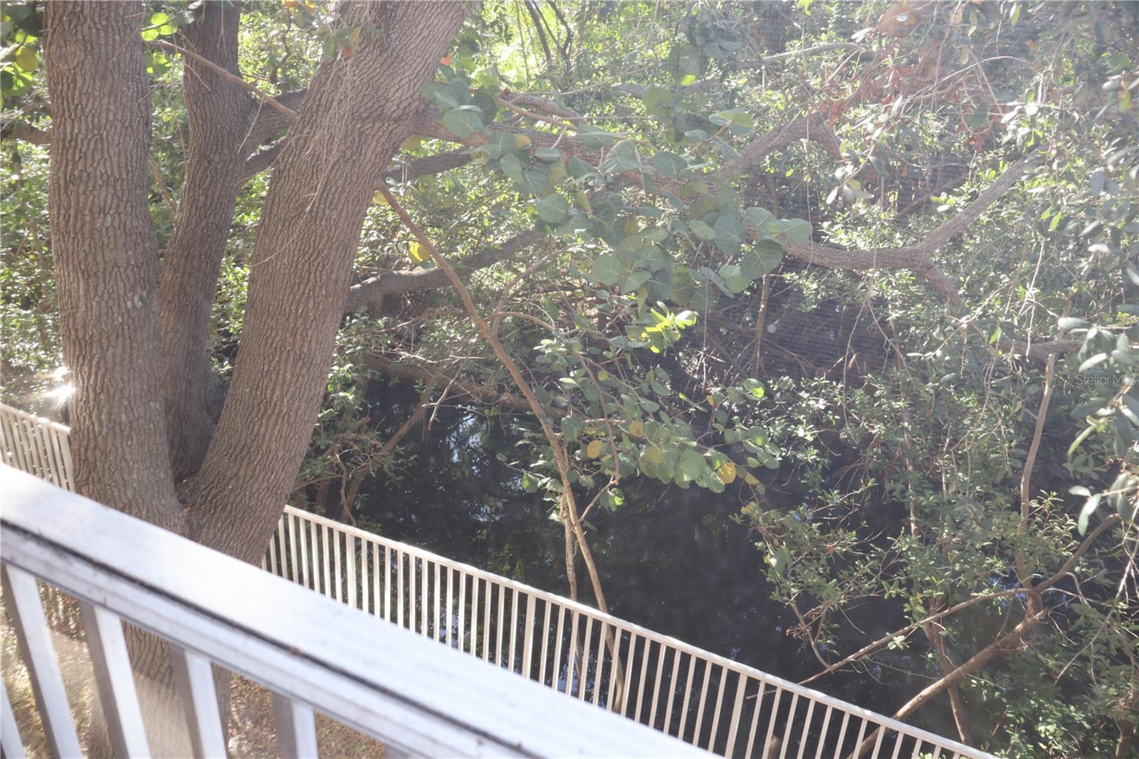 Details for 5000 Culbreath Key Way 1-218, TAMPA, FL 33611