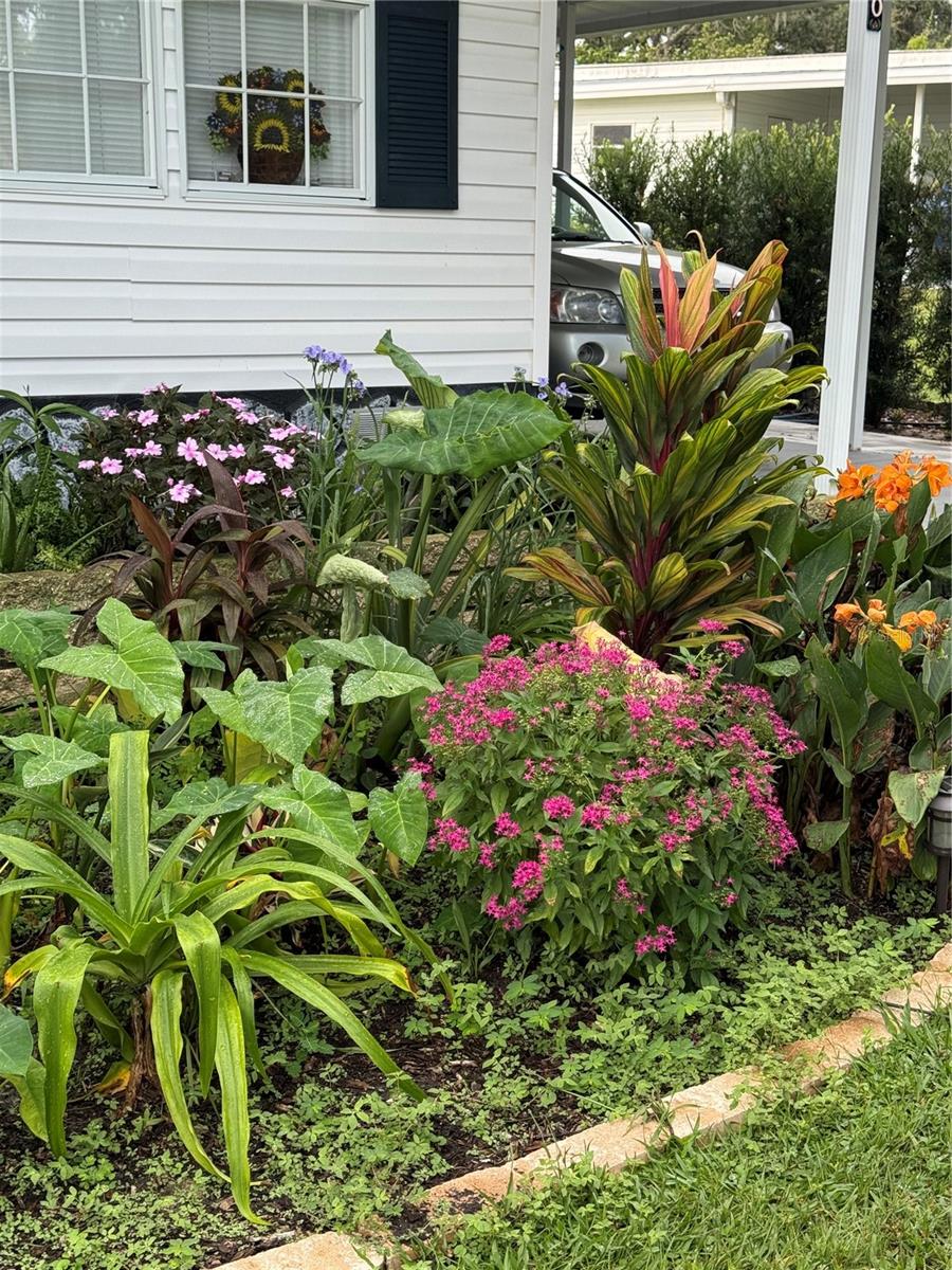 Image 35 of 44 For 12160 Sara  