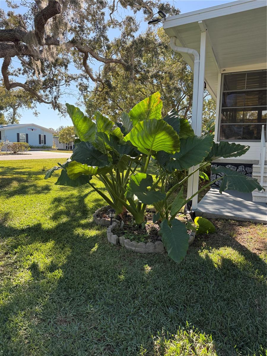 Image 40 of 44 For 12160 Sara  