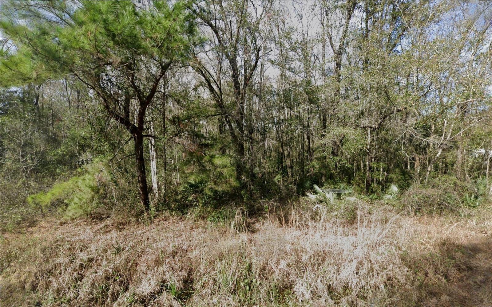 Image 2 of 3 For 4572 Division Street