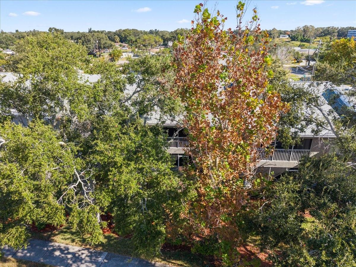 Image 52 of 54 For 14460 Marina Way 18