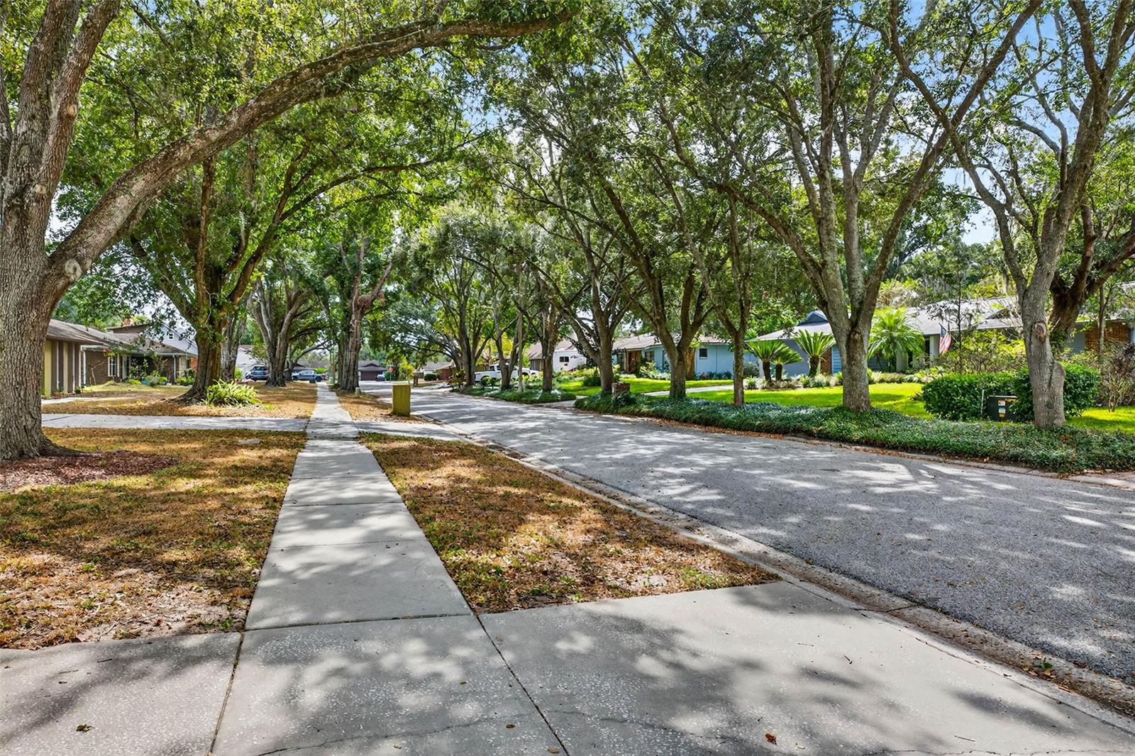 Image 50 of 55 For 11009 Cinderlane Place