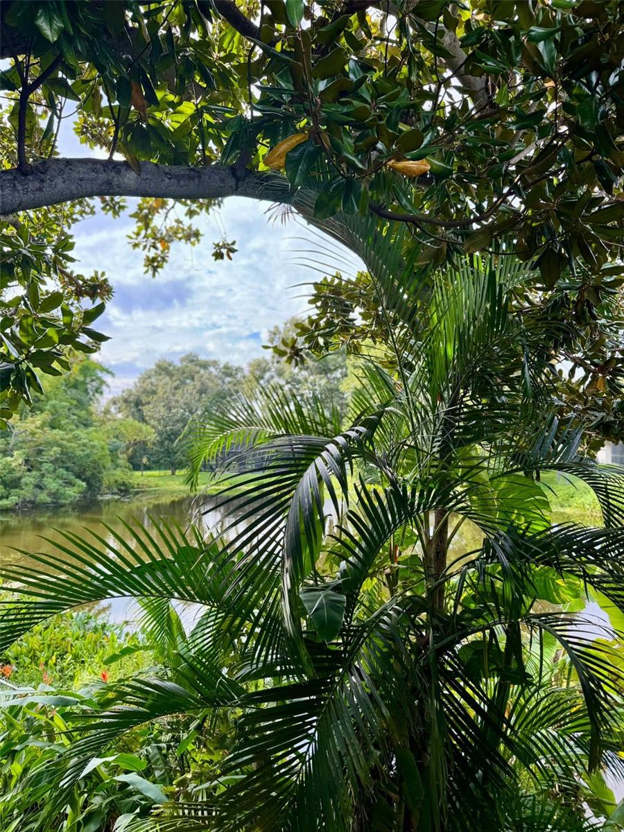 Image 37 of 43 For 3012 Grand View Avenue