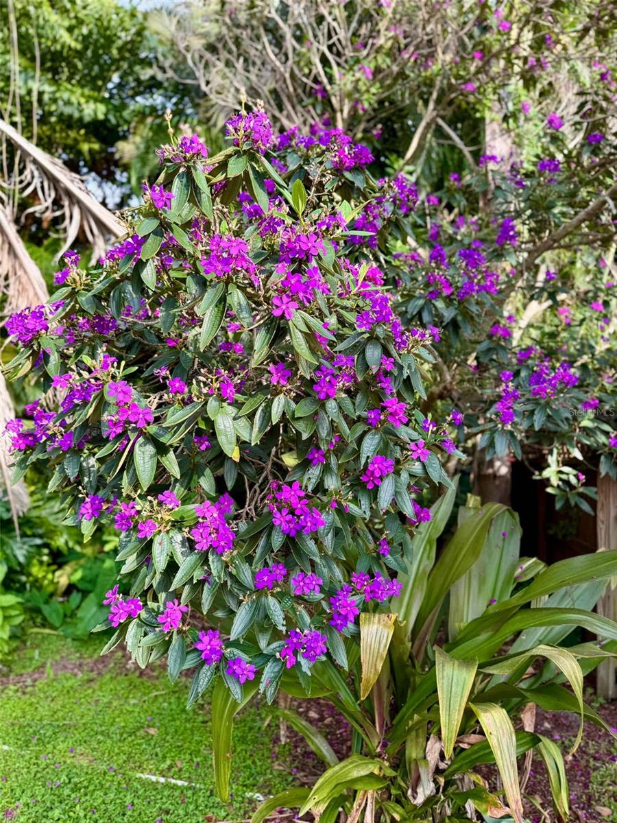 Image 38 of 43 For 3012 Grand View Avenue