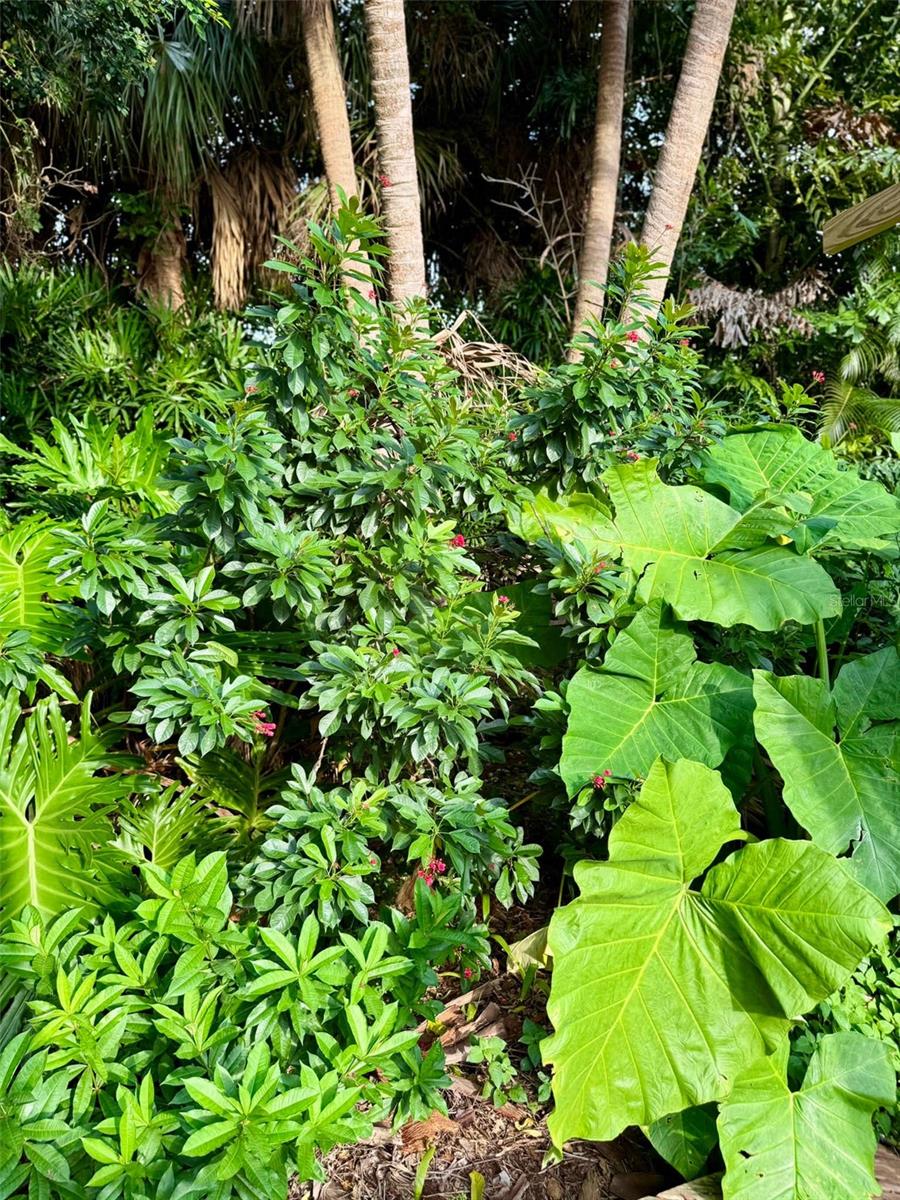 Image 39 of 43 For 3012 Grand View Avenue