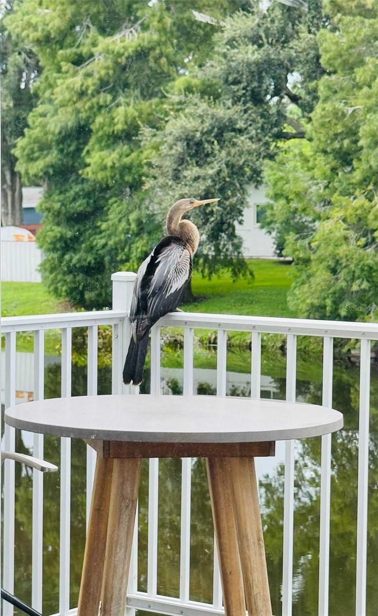 Image 42 of 43 For 3012 Grand View Avenue