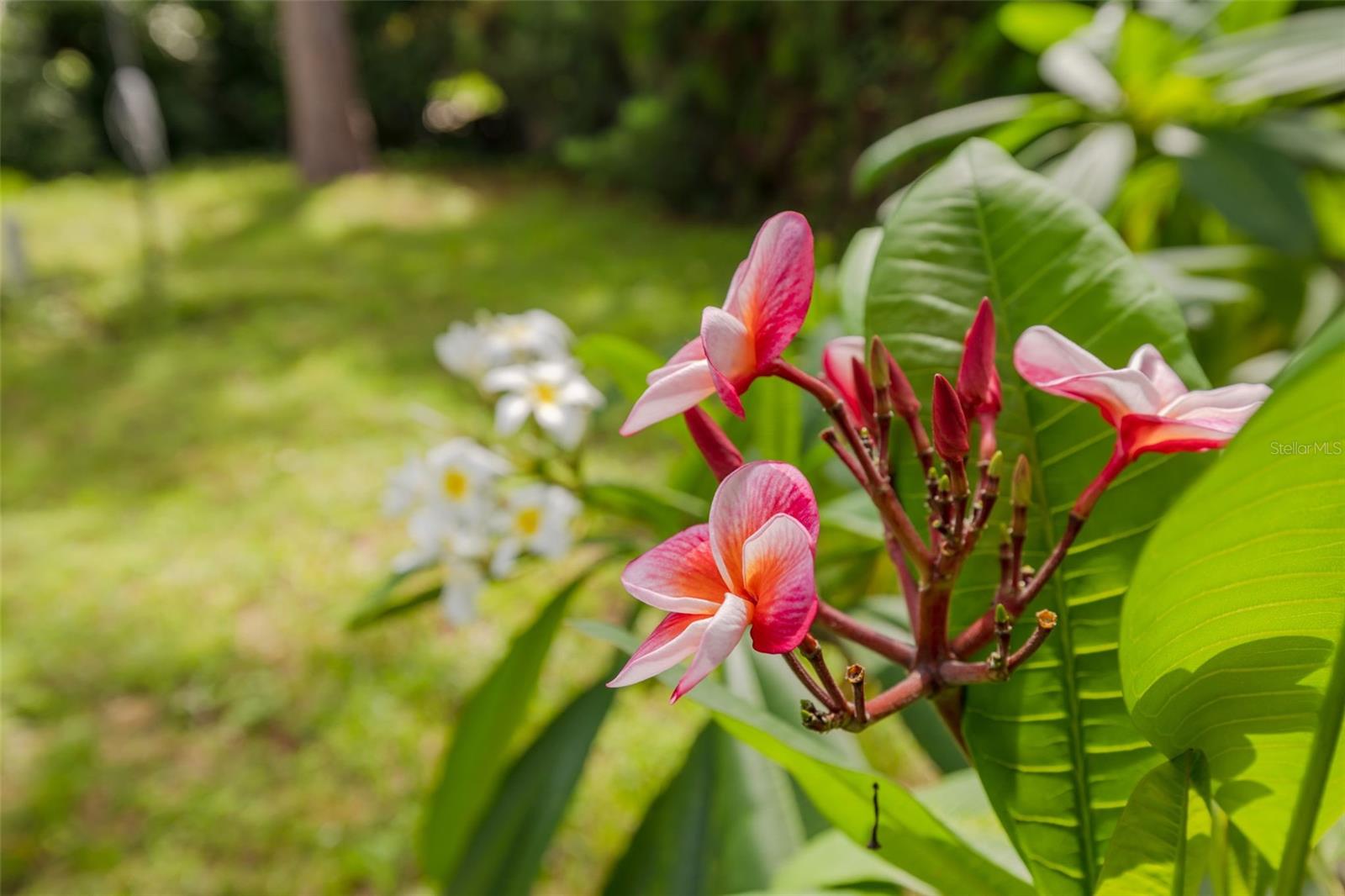 Image 28 of 30 For 1477 Pinebrook Drive