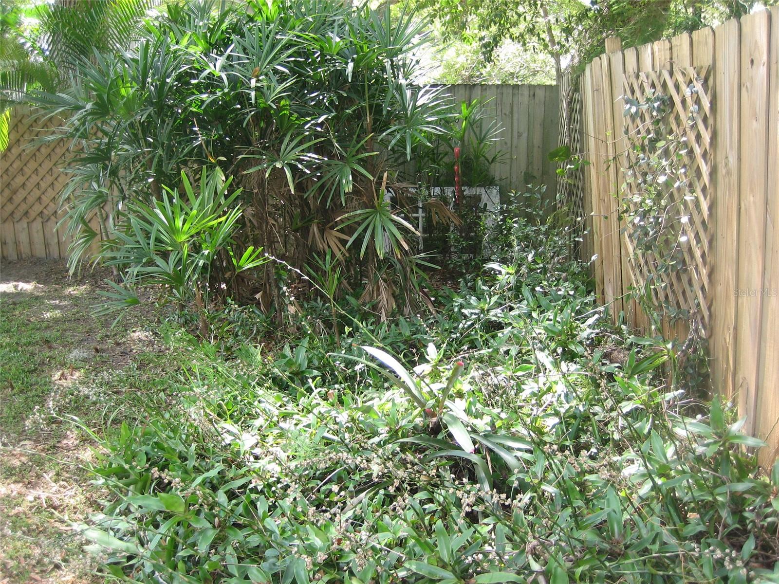 Image 52 of 59 For 1636 Douglas Avenue