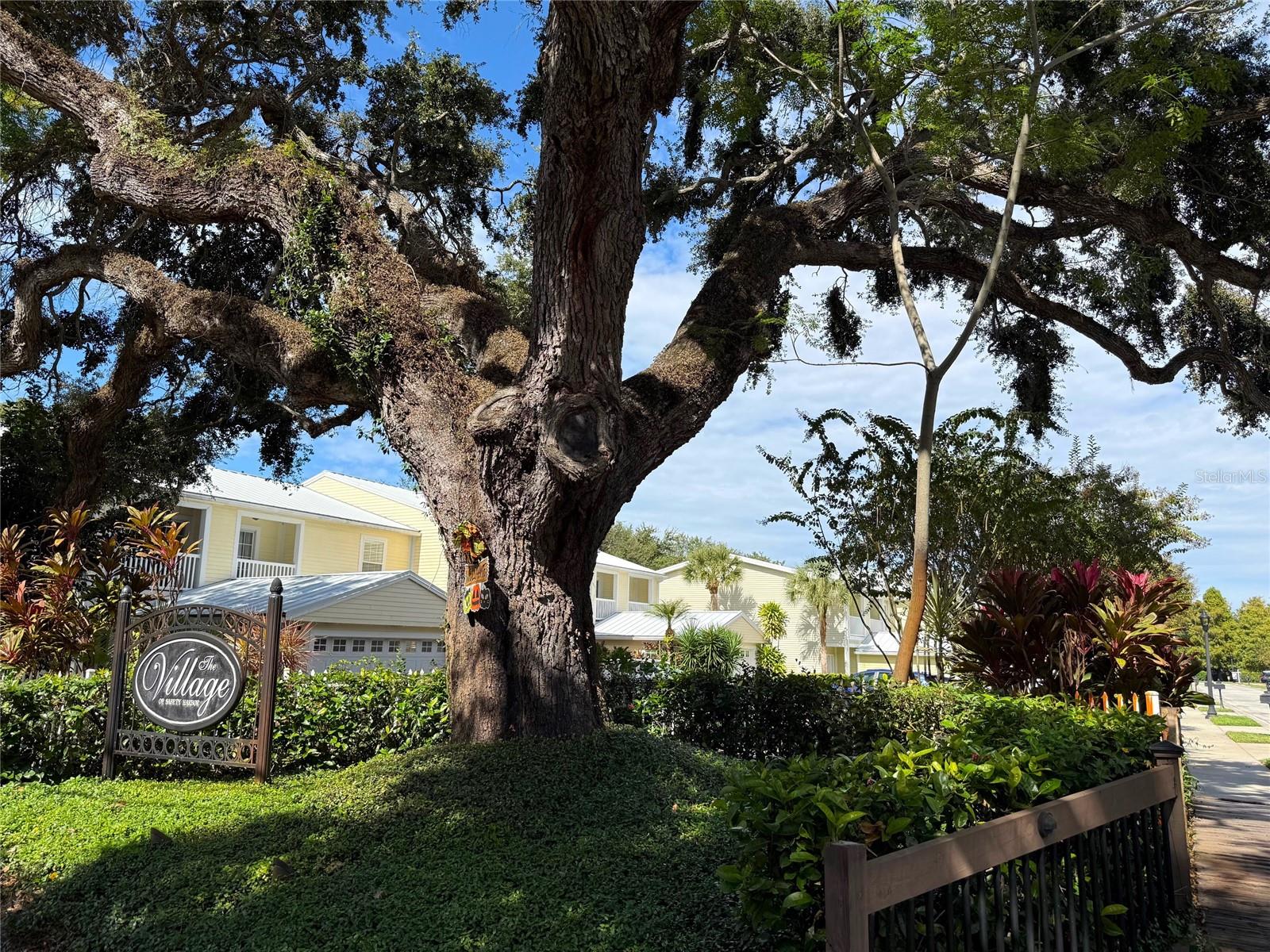 Details for 915 Woodbridge Court, SAFETY HARBOR, FL 34695