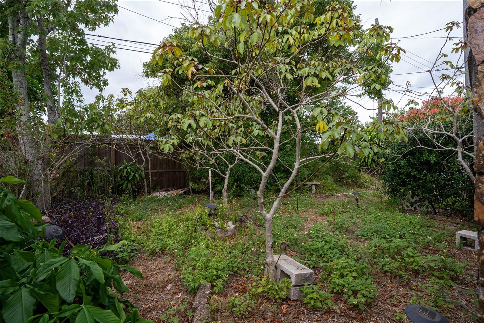 Image 26 of 31 For 12036 105th Street N