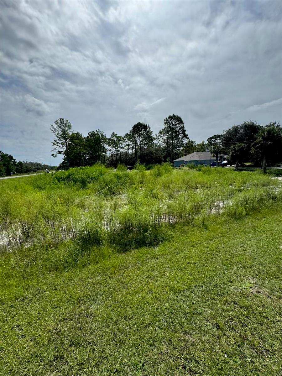 Image 3 of 4 For 13142 Mottled Duck Rd Road