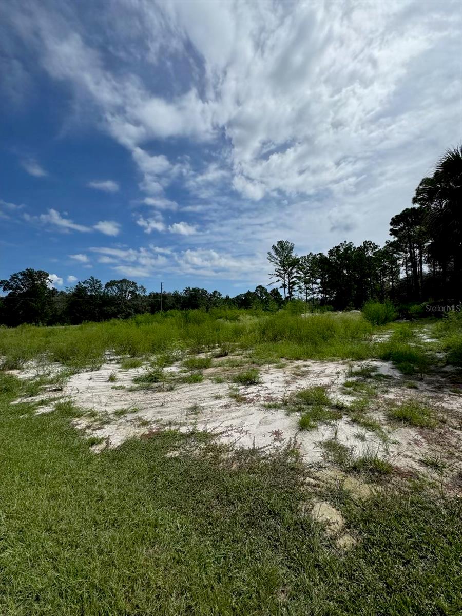 Image 4 of 4 For 13142 Mottled Duck Rd Road