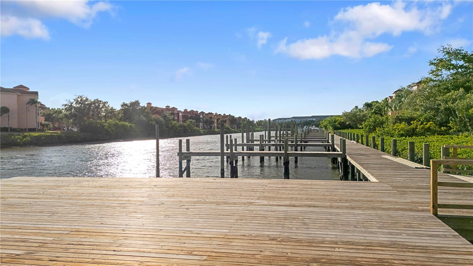 Image 43 of 58 For 2765 Via Cipriani  1232b