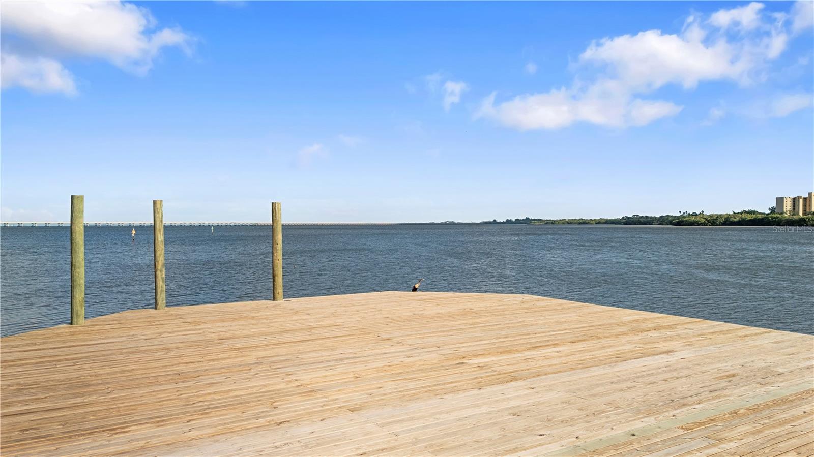 Image 44 of 58 For 2765 Via Cipriani  1232b