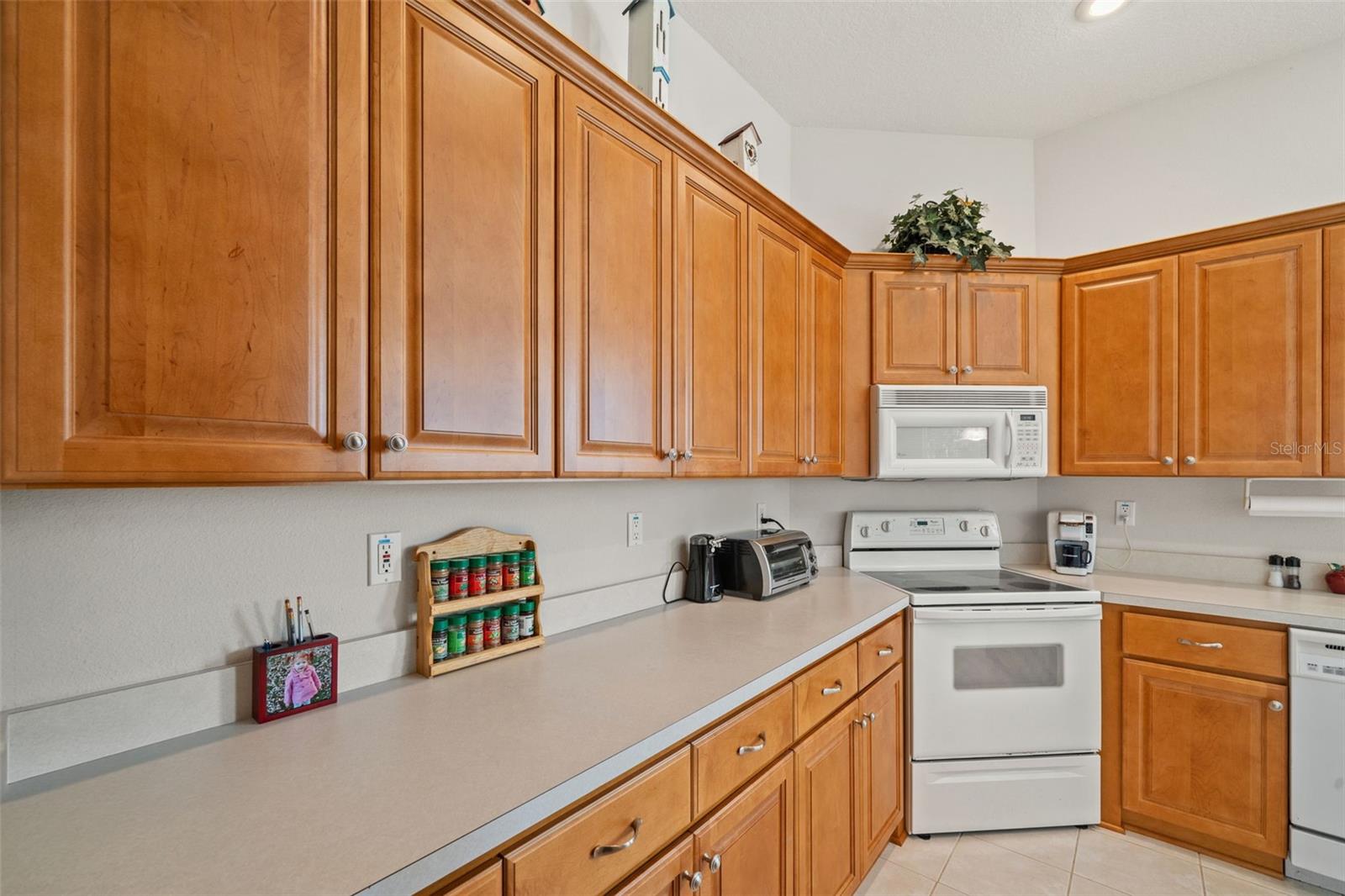 Image 11 of 53 For 10199 Holly Berry Drive