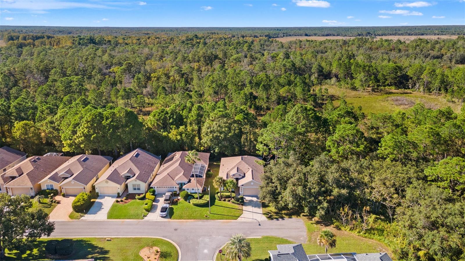 Image 40 of 53 For 10199 Holly Berry Drive