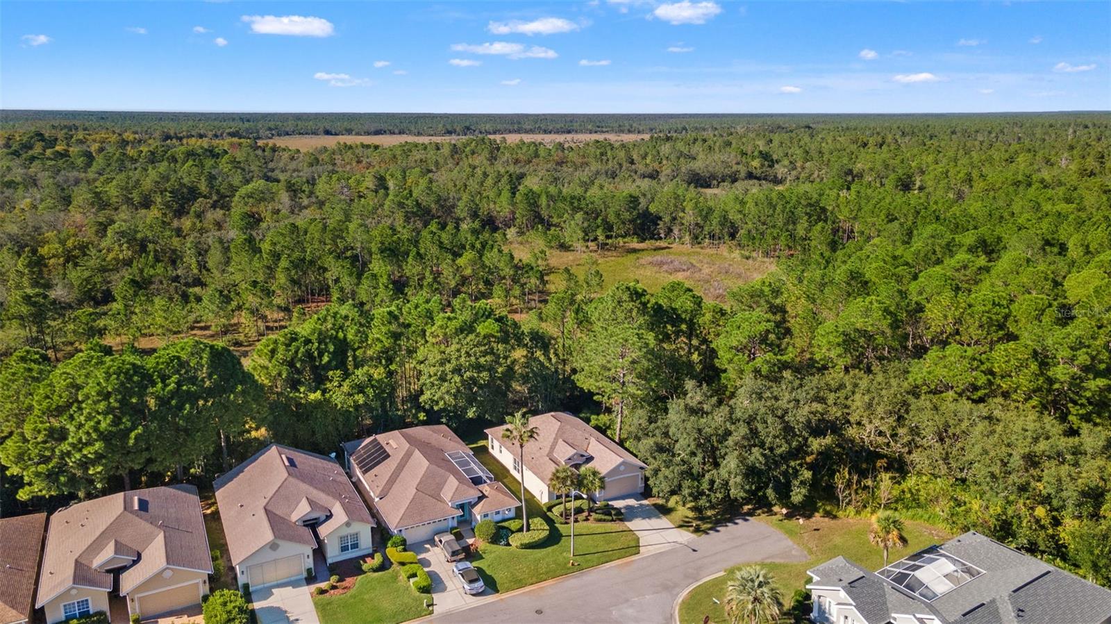 Image 41 of 53 For 10199 Holly Berry Drive