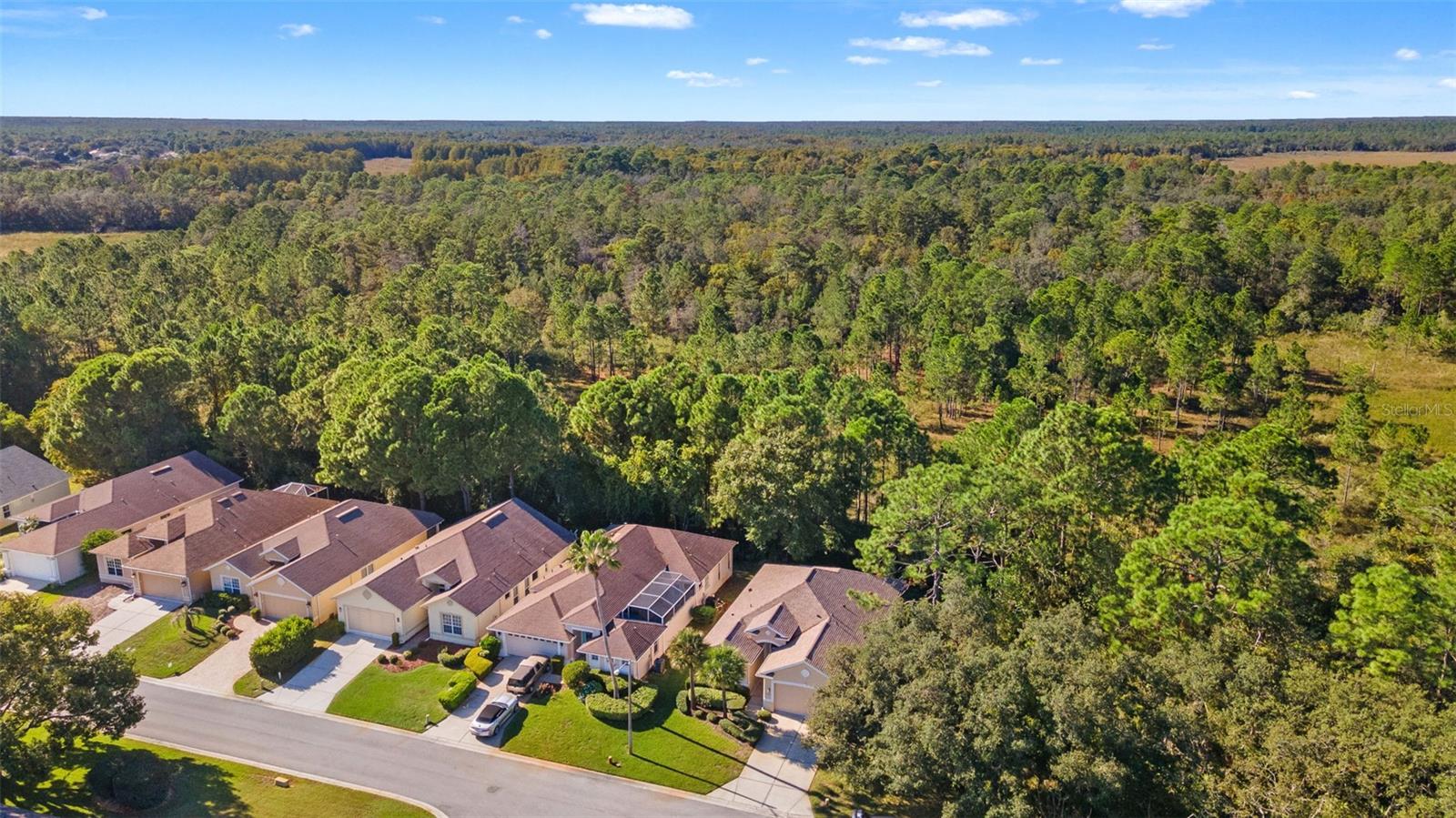 Image 42 of 53 For 10199 Holly Berry Drive